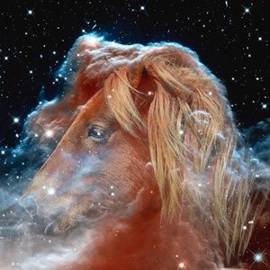 Meet your Posher, Nathaniel